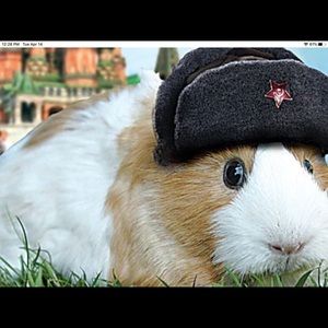 Meet your Posher, Cheryl